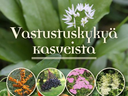 Vastustuskykyä kasveista Cheap